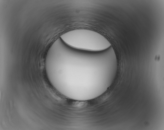 X0000114130135200910081011