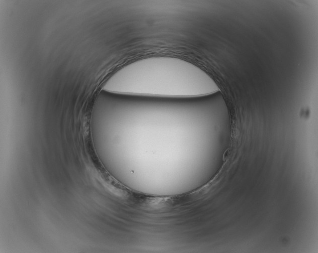 X0000114130136200910081011