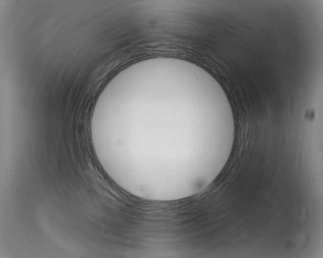X0000114130137200910081011