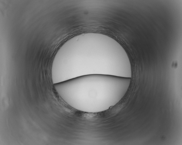 X0000114130139200910081011