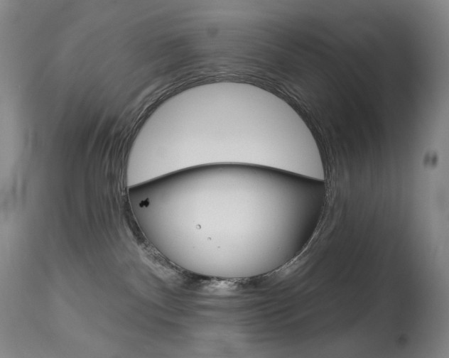 X0000114130140200910081011