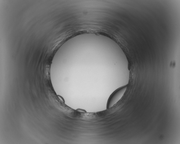 X0000114130141200910081011