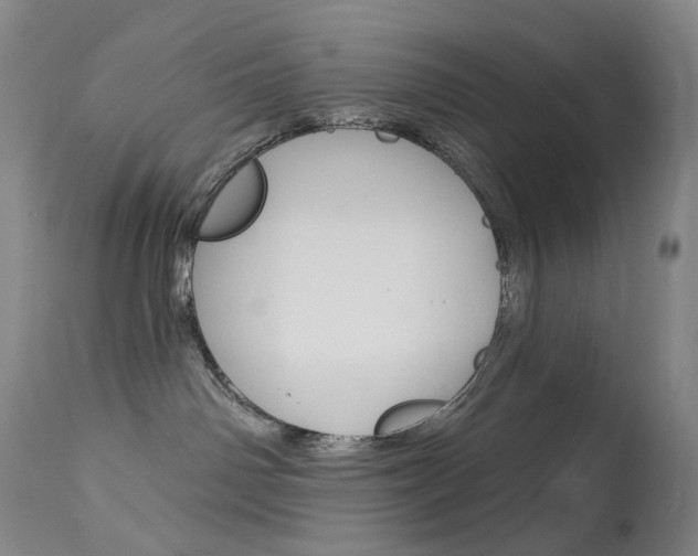 X0000114130142200910081011