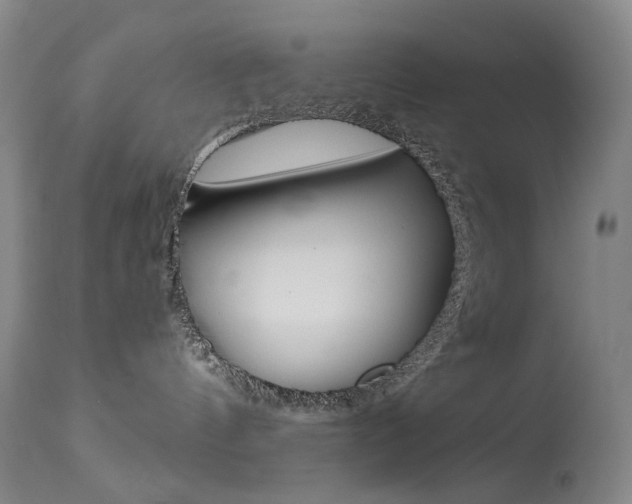 X0000114130144200910081011