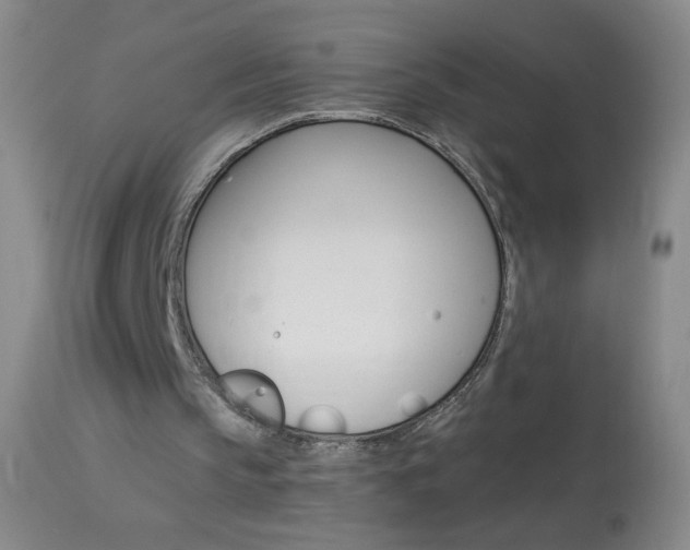 X0000114130145200910081010