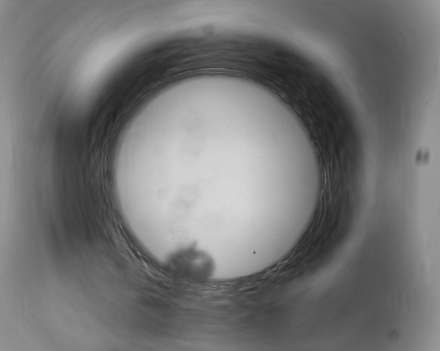 X0000114130146200910081010