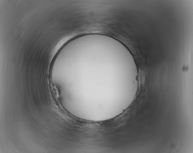 X0000114130147200910081010