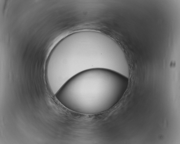X0000114130148200910081010