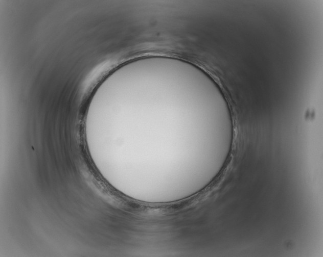 X0000114130149200910081010