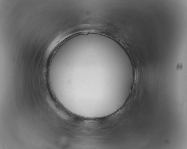X0000114130150200910081010