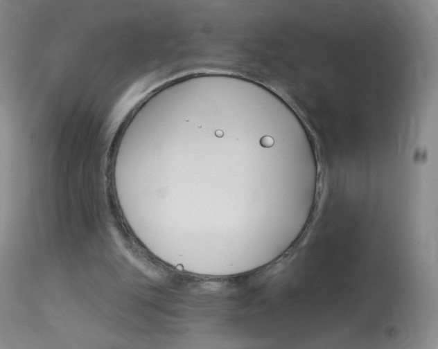 X0000114130151200910081010