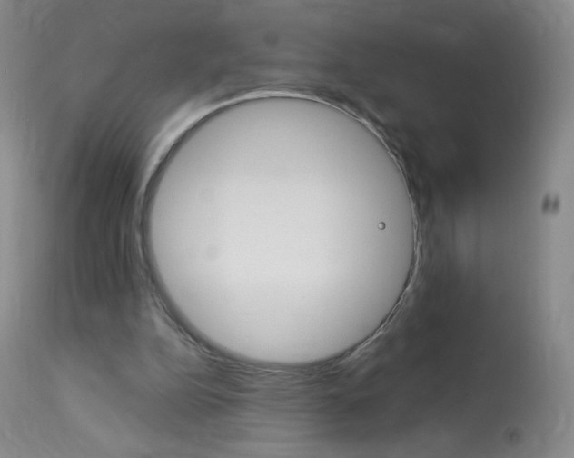 X0000114130152200910081010