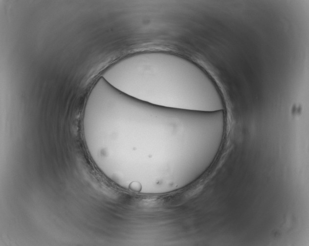 X0000114130153200910081010