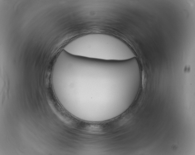 X0000114130157200910081010