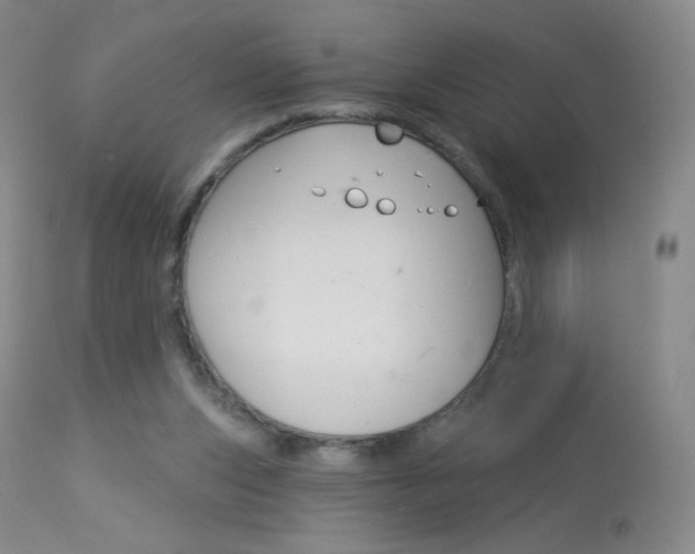 X0000114130159200910081010