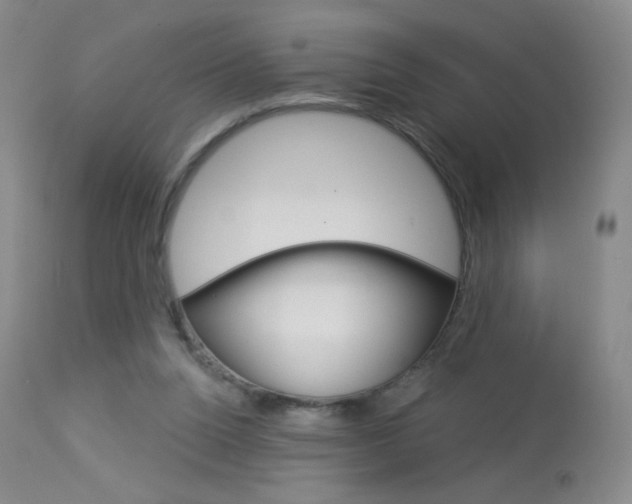 X0000114130160200910081010