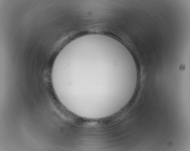 X0000114130161200910081010