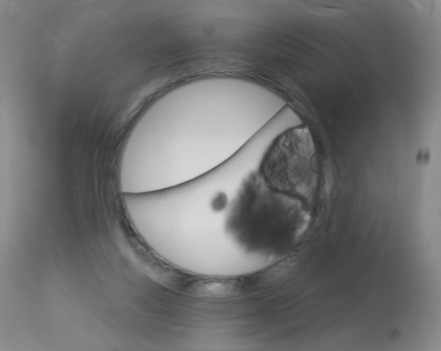 X0000114130163200910081011