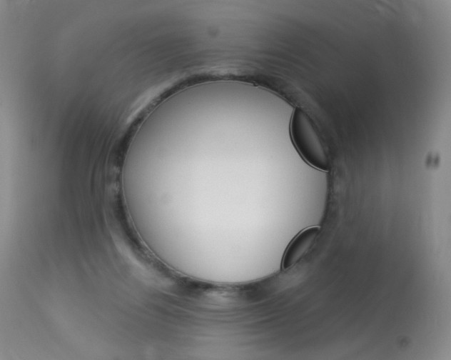 X0000114130164200910081011