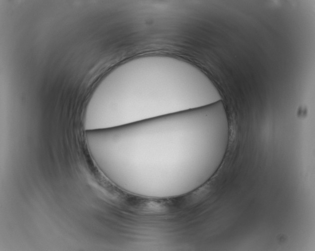 X0000114130166200910081011