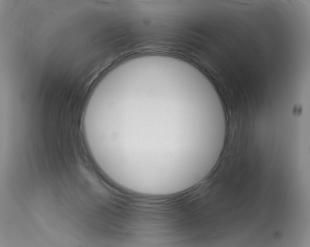 X0000114130168200910081011