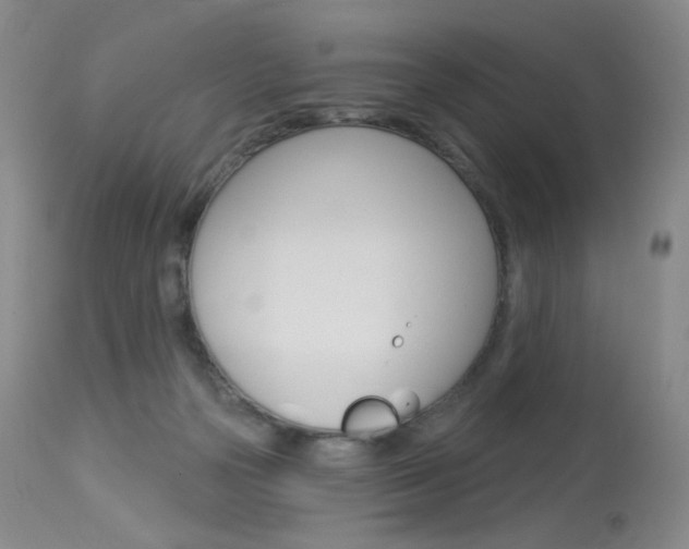 X0000114130169200910081011