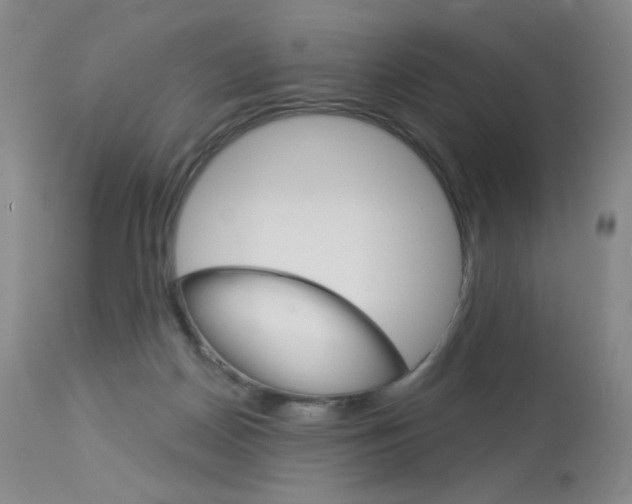 X0000114130170200910081011