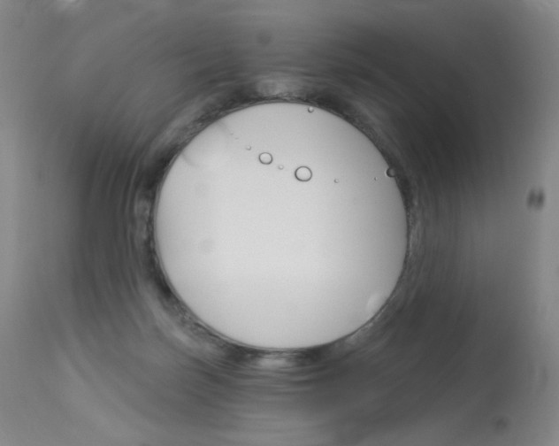 X0000114130171200910081011