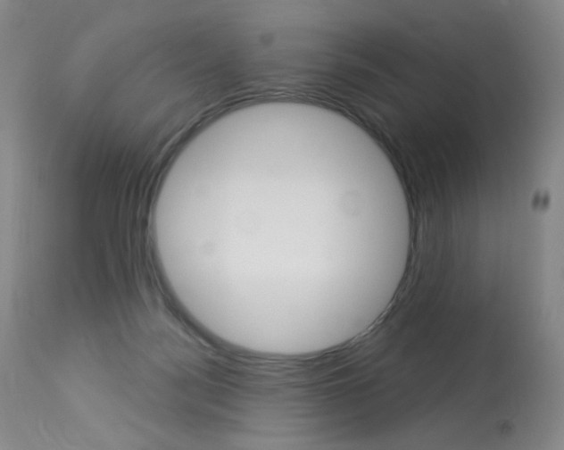 X0000114130172200910081011