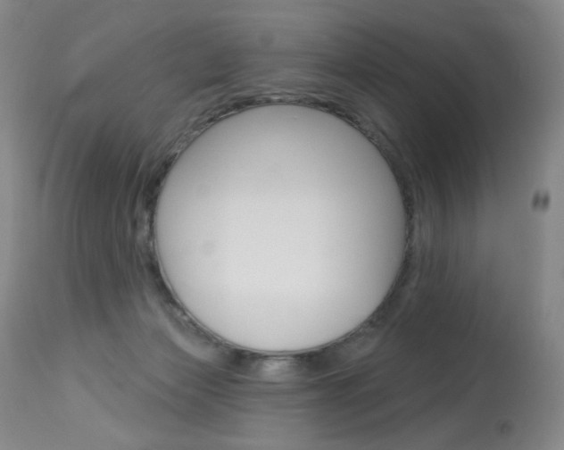 X0000114130173200910081011