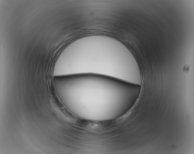 X0000114130174200910081011