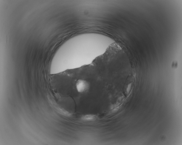 X0000114130175200910081011