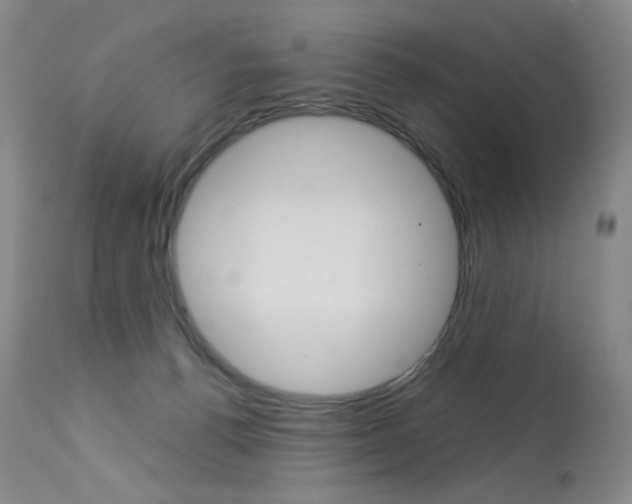 X0000114130176200910081011