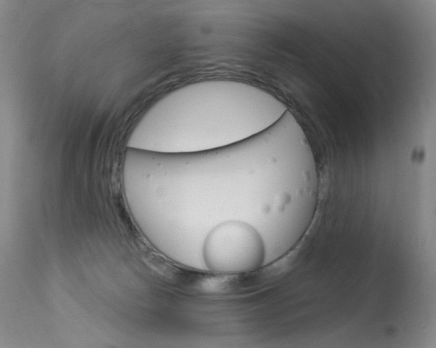 X0000114130178200910081011