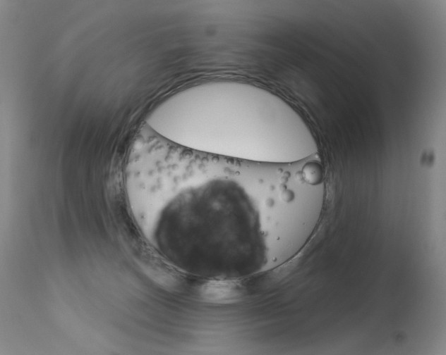 X0000114130179200910081011
