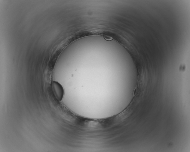 X0000114130180200910081011