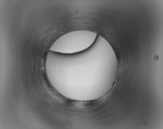 X0000114130182200910081011