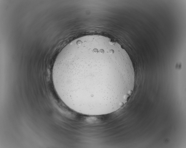 X0000114130183200910081011