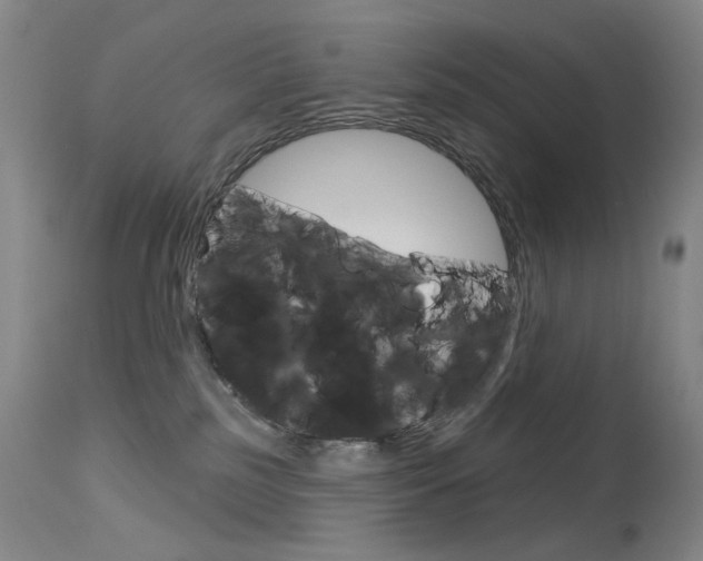 X0000114130185200910081011