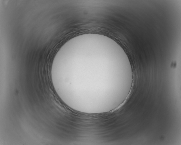 X0000114130186200910081011