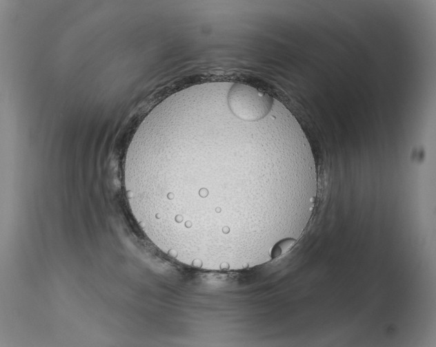 X0000114130187200910081011