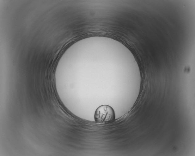 X0000114130188200910081011