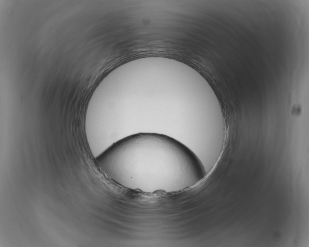 X0000114130190200910081011