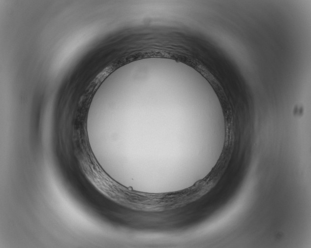 X0000114130191200910081011