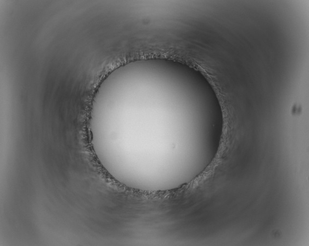 X0000114130192200910081011