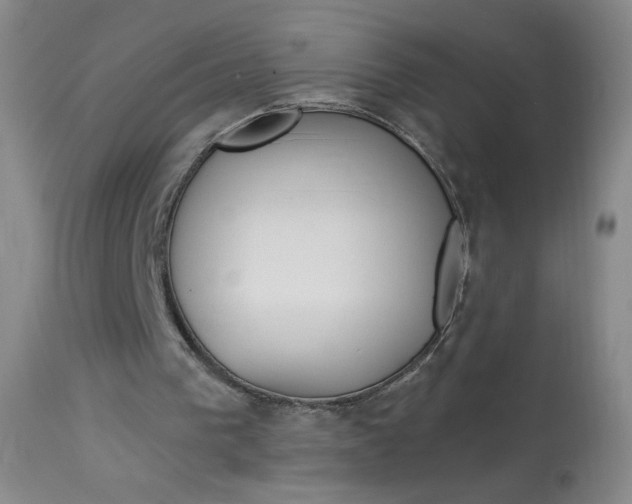 X0000114130193200910081010