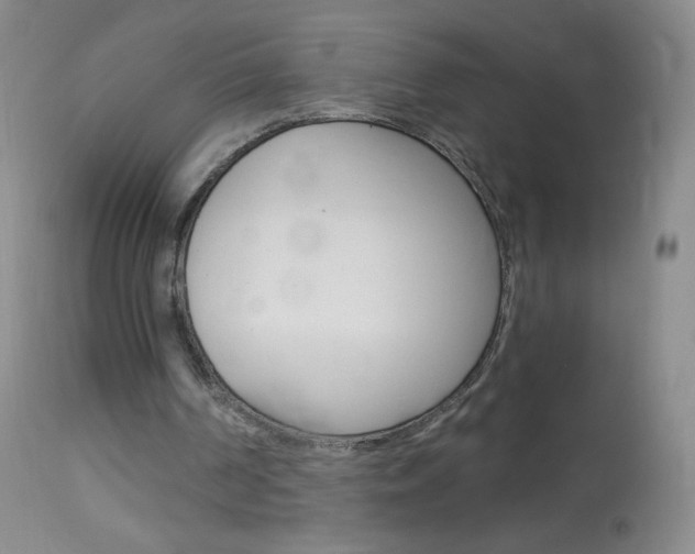 X0000114130194200910081010