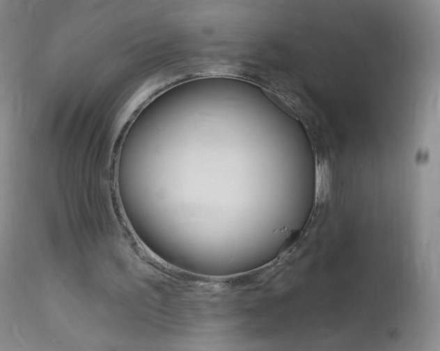 X0000114130195200910081010