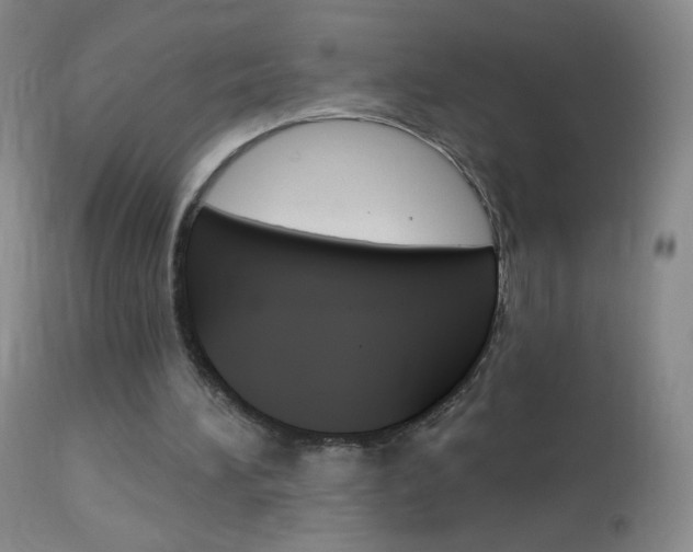 X0000114130196200910081010