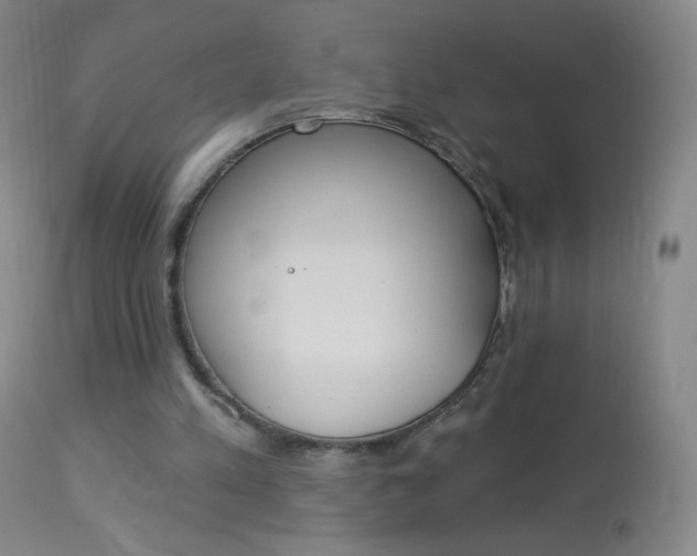 X0000114130197200910081010
